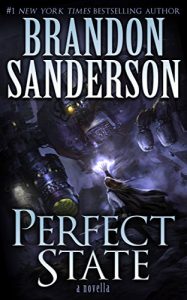 Download Perfect State (Kindle Single) pdf, epub, ebook