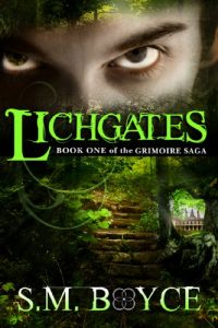 Download Lichgates: Book One of the Grimoire Saga (an Epic Fantasy Adventure) pdf, epub, ebook