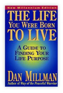 Download THE LIFE YOU WERE BORN TO LIVE: A Guide to Finding Your Life Purpose pdf, epub, ebook