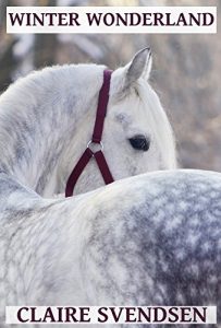 Download Winter Wonderland (Show Jumping Dreams ~ Book 13) pdf, epub, ebook