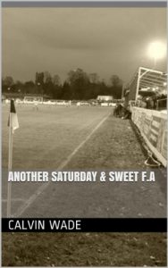 Download Another Saturday & Sweet F.A pdf, epub, ebook