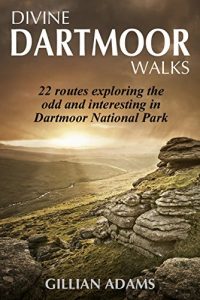 Download Divine Dartmoor Walks (Volume Book 1) pdf, epub, ebook