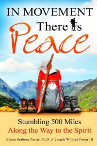 Download In Movement There Is Peace: Stumbling 500 Miles Along the Way to the Spirit pdf, epub, ebook