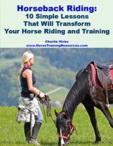 Download Horseback Riding – 10 Simple Lessons That Will Transform Your Horse Riding and Training pdf, epub, ebook