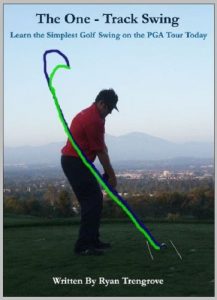 Download The One Track Swing pdf, epub, ebook