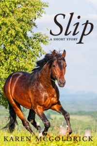 Download Slip: A short story by the author of The Dressage Chronicles pdf, epub, ebook