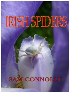 Download Irish Spiders pdf, epub, ebook