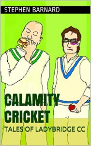 Download Calamity Cricket: Tales of Ladybridge CC pdf, epub, ebook