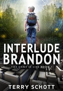 Download Interlude-Brandon (The Game is Life Book 3) pdf, epub, ebook