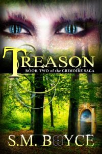 Download Treason: Book Two of the Grimoire Saga (an Epic Fantasy Adventure) pdf, epub, ebook