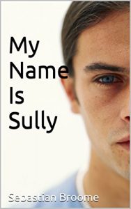 Download My Name Is Sully pdf, epub, ebook