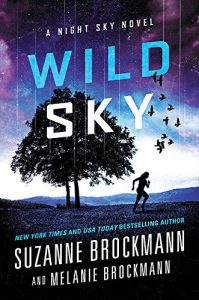 Download Wild Sky: A Night Sky novel pdf, epub, ebook