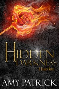 Download Hidden Darkness, Book 4 of the Hidden Saga pdf, epub, ebook
