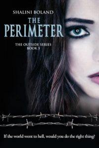 Download THE PERIMETER (Outside Series Book 3) pdf, epub, ebook
