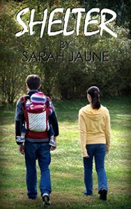 Download Shelter (After the Flare Book 1) pdf, epub, ebook