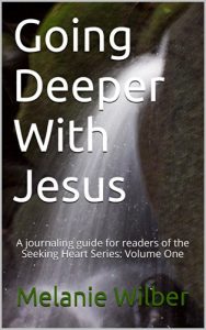 Download Going Deeper With Jesus: A journaling guide for readers of the Seeking Heart Series: Volume One (Seeking Heart Journaling Guide Book 1) pdf, epub, ebook