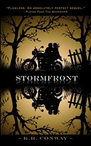 Download Stormfront (Undertow Book 2) pdf, epub, ebook