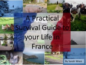 Download A Practical Survival Guide to Your Life in France pdf, epub, ebook