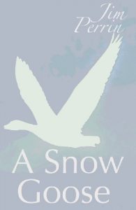 Download A Snow Goose pdf, epub, ebook