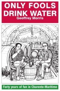Download Only Fools Drink Water: Forty years of fun in Charente-Maritime pdf, epub, ebook