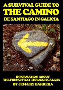 Download A Survival Guide to the Camino de Santiago in Galicia: Information about the French Way through Galicia pdf, epub, ebook
