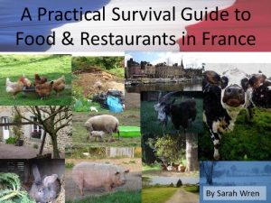 Download A Practical Survival Guide to Food & Restaurants in France (A Practical Survival Guide to Your Life in France) pdf, epub, ebook