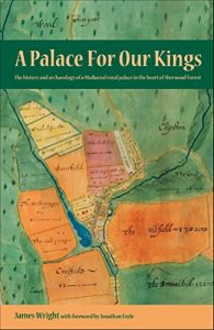 Download A Palace For Our Kings: The history and archaeology of a Mediaeval royal palace in the heart of Sherwood Forest pdf, epub, ebook
