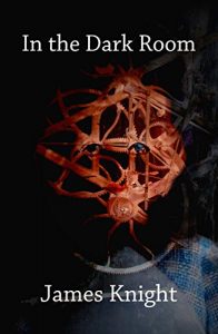 Download In the Dark Room pdf, epub, ebook