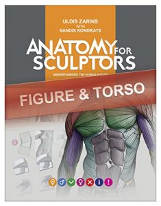 Download Figure & Torso Anatomy For Artists: Understanding the human form (Anatomy For Sculptors Book 1) pdf, epub, ebook