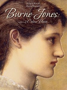 Download Burne-Jones: 262 Colour Plates pdf, epub, ebook