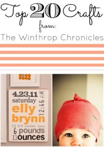Download Top 20 Crafts: The Winthrop Chronicles pdf, epub, ebook