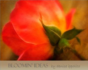 Download Bloomin’ Ideas pdf, epub, ebook