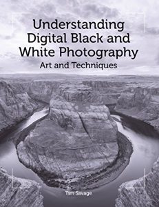 Download Understanding Digital Black and White Photography: Art and Techniques pdf, epub, ebook