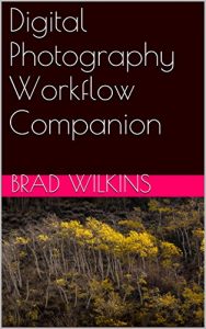 Download Digital Photography Workflow Companion pdf, epub, ebook