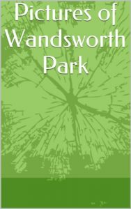 Download Views in and from Wandsworth Park pdf, epub, ebook