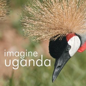 Download Imagine Uganda pdf, epub, ebook