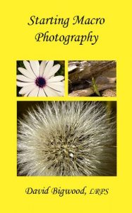 Download Starting Macro Photography pdf, epub, ebook