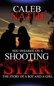 Download You sworn on Shooting stars: Falling in and Out of Love pdf, epub, ebook