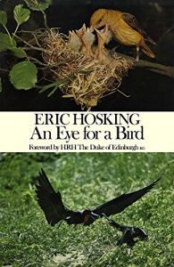 Download Eye for a Bird: Autobiography of a Bird Photographer pdf, epub, ebook