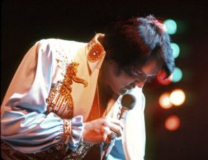 Download Las Vegas 1975: vol 7 My Treasured Memories (My Treasured Memories of Elvis) pdf, epub, ebook