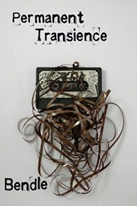 Download Permanent Transience pdf, epub, ebook