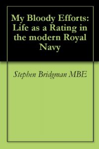 Download My Bloody Efforts: Life as a Rating in the modern Royal Navy pdf, epub, ebook