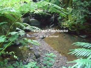 Download Vietnam Flashbacks: A Memoir pdf, epub, ebook