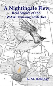 Download A Nightingale Flew: Real stories of WAAF Nursing Orderlies pdf, epub, ebook