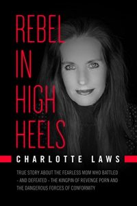 Download Rebel in High Heels: True story about the fearless mom who battled – and defeated – the kingpin of revenge porn and the dangerous forces of conformity pdf, epub, ebook