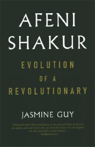 Download Afeni Shakur: Evolution Of A Revolutionary pdf, epub, ebook