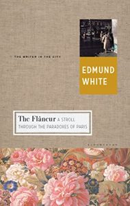 Download The Flaneur: A Stroll through the Paradoxes of Paris pdf, epub, ebook