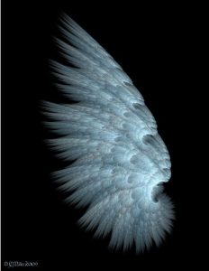 Download All The Angles of Heaven pdf, epub, ebook