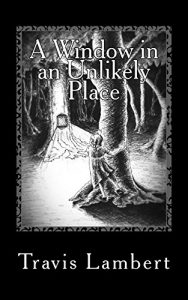 Download A Window in an Unlikely Place pdf, epub, ebook