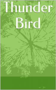 Download Thunder Bird pdf, epub, ebook